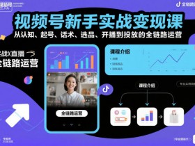视频号新手实战变现课，从认知、起号、话术、选品、开播到投放的全链路运营