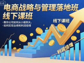 电商战略与管理落地班线下课，教你公司如何从小做到大，如何实现业绩和利润倍增【录音】
