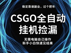 【稳定副业】全球最热门游戏CSGO全自动捡漏，最新玩法，新手小白日入5张+【揭秘】