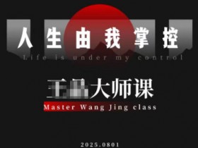 流量破局-人生由我掌控，从素人快速进阶，实现流量与商业价值双丰收