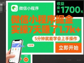 微信小程序掘金，实操7天賺了1.7k+，操作简单，5分钟就能学会上手操作【揭秘】
