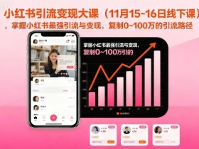 小红书引流变现大课（11月15-16日线下课），掌握小红书最强引流与变现，复制0~100万的引流路径