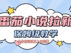 番茄小说拉新，保姆级教程，小白也可以日入三位数