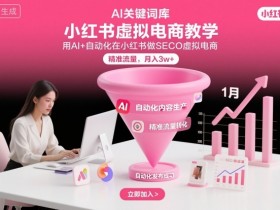 小红书虚拟电商项目，用AI+自动化在小红书做SEO虚拟电商，精准流量，月入3w+