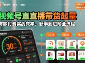 视频号直播带货起量与微付费实战教学，新手到进阶全流程