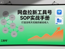 网盘拉新工具号SOP实战手册，打造没有天花板的被动收入