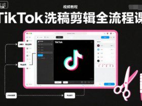 TikTok洗稿剪辑全流程课，PR洗稿剪辑全流程，TK洗稿运营课