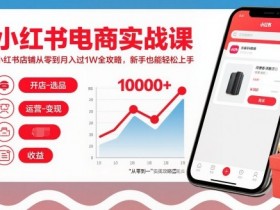 小红书电商实战课，小红书店铺从零到月入过1W全攻略，新手也能轻松上手