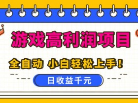 游戏高利润项目，日收益1k+，全自动，无需值守，解放双手，小白轻松上手【揭秘】