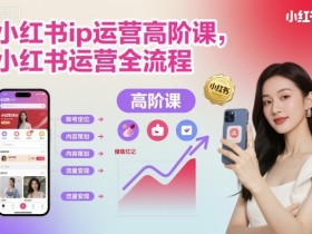 小红书ip运营高阶课，小红书运营全流程