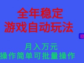 全年稳定的游戏自动玩法，稳定月入1W，操作简单可批量操作【揭秘】