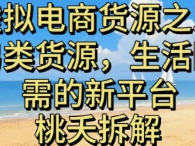 虚拟电商之三另类的货源，生活刚需的新平台