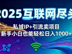 2025网创尽头王炸项目！私域IP+精准引流，新手小白在家躺賺日入1k，零经验也能上手【揭秘】