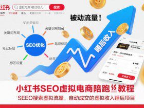 小红书SEO虚拟电商陪跑教程，实现seo搜索被动流量，自动成交的被动收入睡后项目