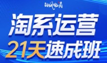 白凤电商·淘系运营21天速成班（更新11月）0基础淘系运营课