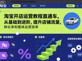 淘宝开店运营教程直通车，从基础到进阶，提升店铺流量，转化率和整体运营效率（更新11月）