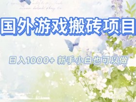 国外游戏搬砖项目，日入1k+，全自动解放双手，新手小白也可做【揭秘】