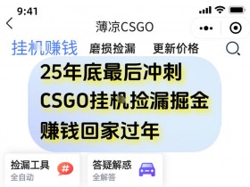 12月年底抓紧最后一个月，用CSGO游戏挂G捡漏掘金賺钱掘金，一部手机轻松日入5张+【揭秘】