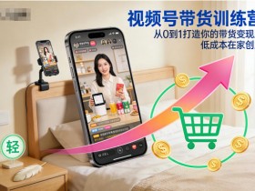 视频号带货训练营，从0到1打造你的带货变现路，低成本在家创业