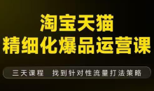 猫课子幽·淘宝天猫精细化爆品运营【音频+字幕+文档】（9月12-14杭州线下课）